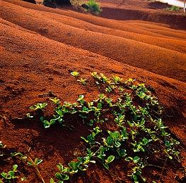 《法外枭雄：滚石城》PC配置公开 推荐1070显卡