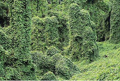 《堕落之主》大卖 帮助CI Games实现6000万美元创纪录营收